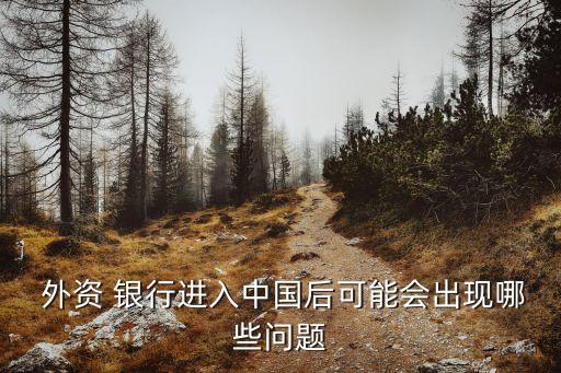  外資 銀行進入中國后可能會出現哪些問題