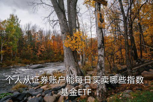 個人從證券賬戶能每日買賣哪些指數 基金ETF
