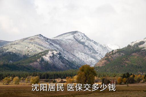  沈陽居民 醫保交多少錢