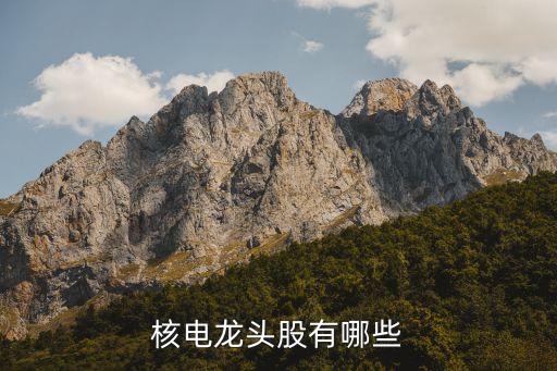 中國核建旗下上市公司,建發旗下有幾家上市公司