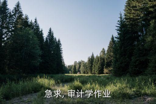 急求, 審計學作業