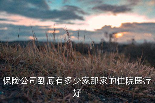 保險公司到底有多少家那家的住院醫療好
