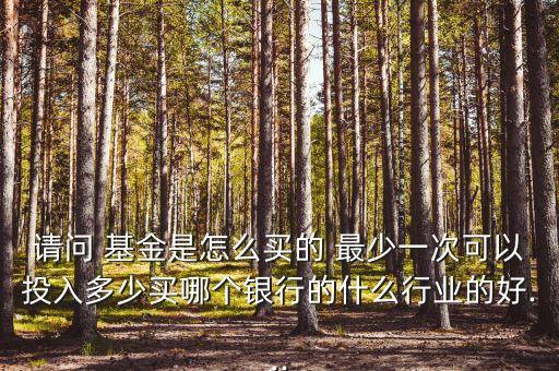 請問 基金是怎么買的 最少一次可以投入多少買哪個銀行的什么行業的好...