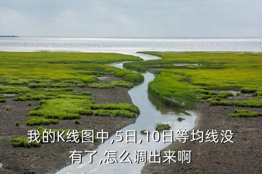 我的K線圖中,5日,10日等均線沒有了,怎么調出來啊