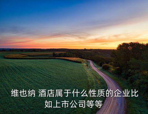  維也納 酒店屬于什么性質的企業比如上市公司等等