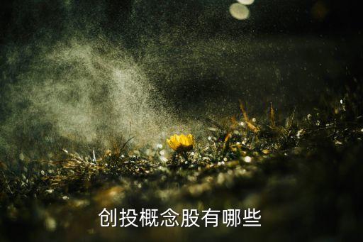 創投概念股有哪些