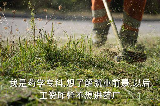 在醫藥公司有前途嗎,醫藥公司哪個部門有前途