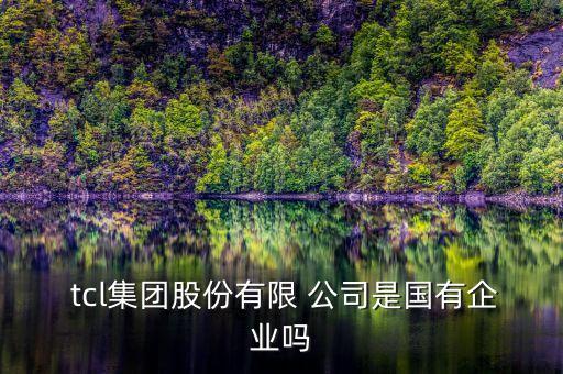 tcl創投公司,創投公司是做什么的