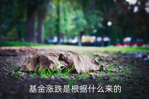  基金漲跌是根據什么來的