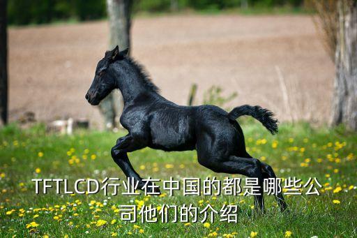 TFTLCD行業在中國的都是哪些公司他們的介紹