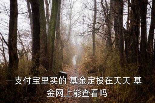  支付寶里買的 基金定投在天天 基金網上能查看嗎