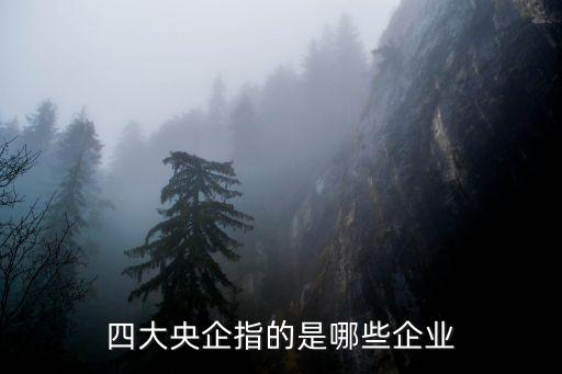 四大央企指的是哪些企業