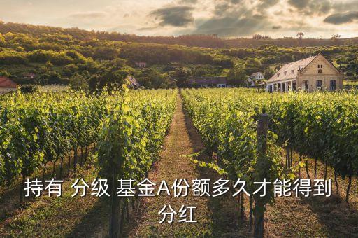 分級基金發時間,證券分級基金b一覽表