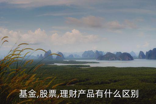 投資公司與基金的區別,股權基金投資公司一般是干什么的