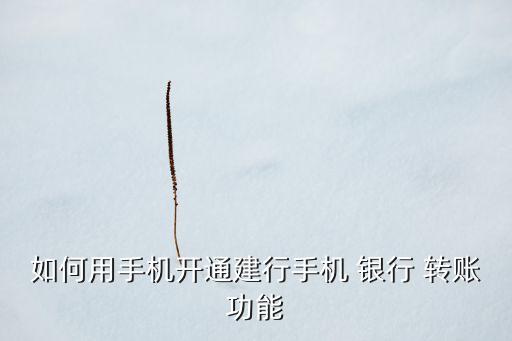 如何用手機開通建行手機 銀行 轉賬功能