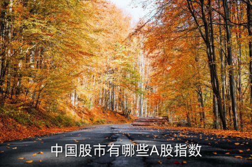 中國股市有哪些A股指數