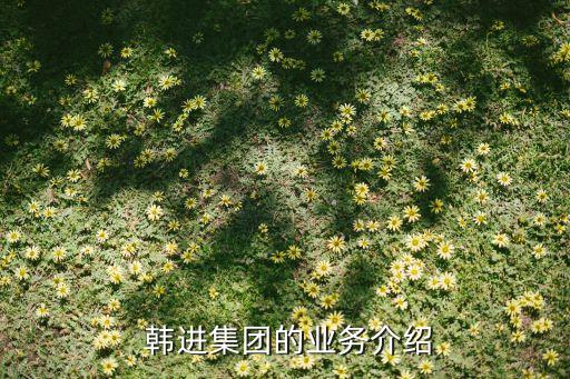  韓進集團的業務介紹