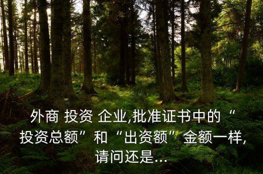  外商 投資 企業,批準證書中的“ 投資總額”和“出資額”金額一樣,請問還是...