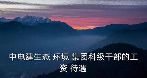 中電建生態 環境 集團科級干部的工資 待遇