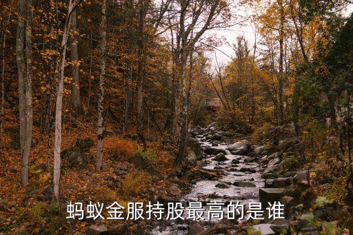 巨龍管業股票大股東
