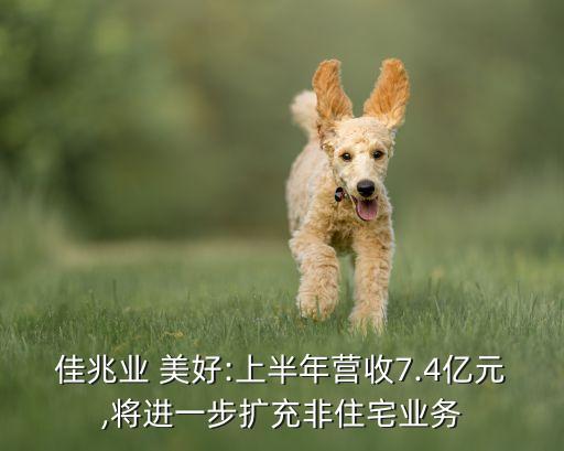 佳兆業 美好:上半年營收7.4億元,將進一步擴充非住宅業務