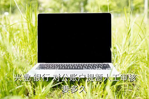  興業 銀行 對公賬戶提額人工審核要多久