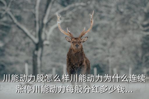 川能動力股怎么樣川能動力為什么連續漲停川能動力每股分紅多少錢...