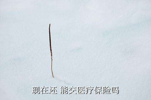現在還 能交醫療保險嗎