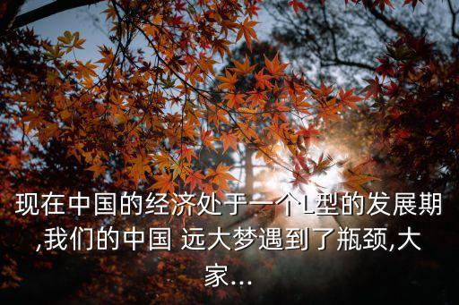 現(xiàn)在中國的經(jīng)濟處于一個L型的發(fā)展期,我們的中國 遠(yuǎn)大夢遇到了瓶頸,大家...