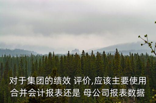 對于集團的績效 評價,應該主要使用合并會計報表還是 母公司報表數據