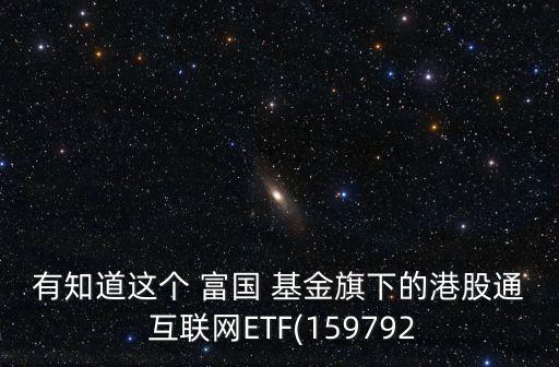 有知道這個 富國 基金旗下的港股通 互聯網ETF(159792