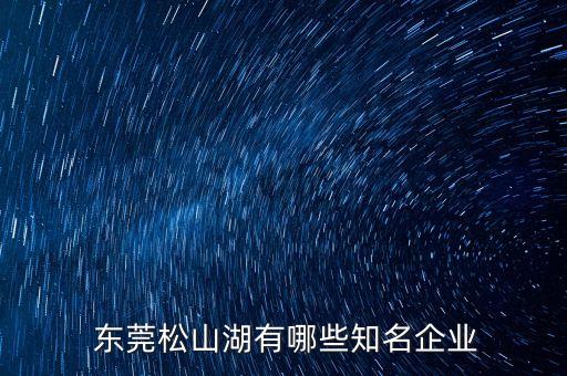  東莞松山湖有哪些知名企業