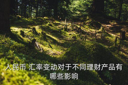 人民幣 匯率變動對于不同理財產品有哪些影響