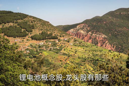 上海思源電力電容器,電力電容器規格型號