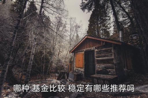 哪種 基金比較 穩定有哪些推薦嗎