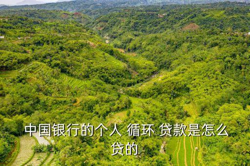  中國銀行的個人 循環 貸款是怎么貸的
