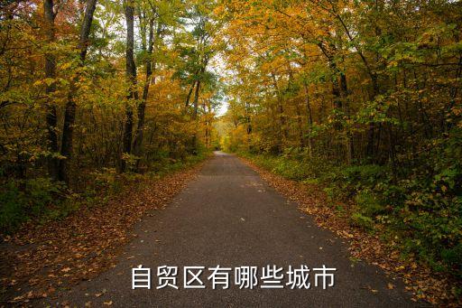 自貿區有哪些城市