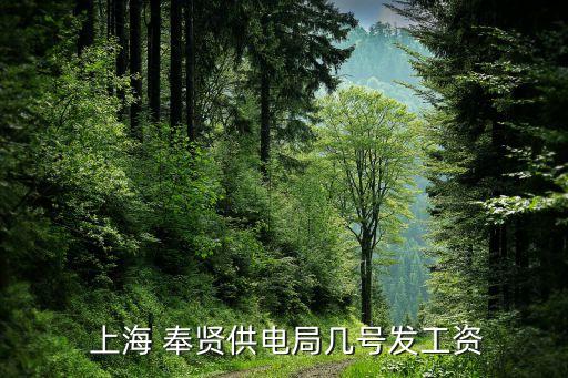  上海 奉賢供電局幾號發工資