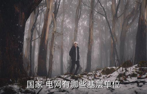國家 電網有哪些基層單位