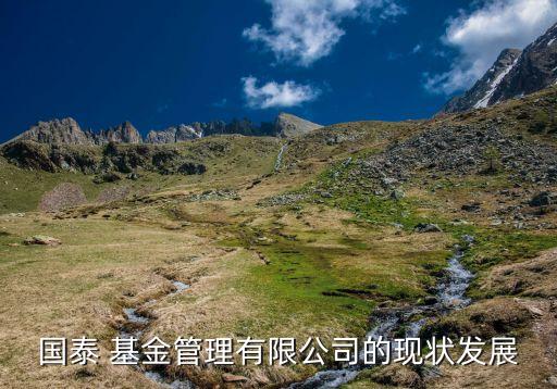 國泰 基金管理有限公司的現狀發展