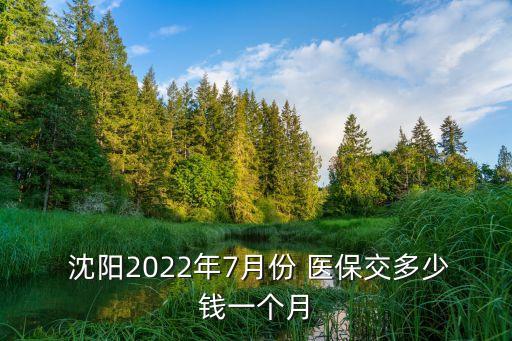 沈陽中信銀行能交548元醫保嗎