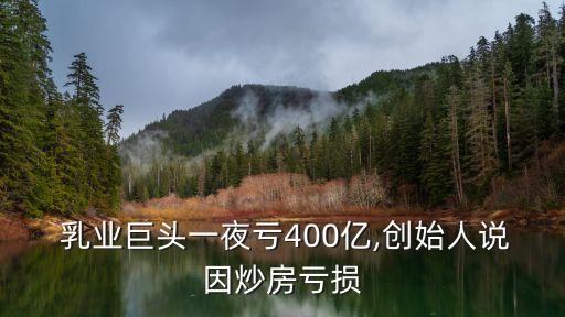輝山乳業股票發行價,陽光乳業股票發行價是多少