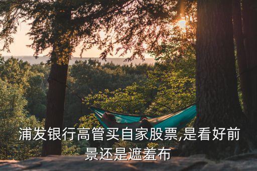 浦發銀行2015凈資產,2022年浦發銀行凈資產多少