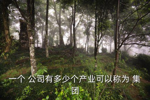 一個 公司有多少個產業可以稱為 集團