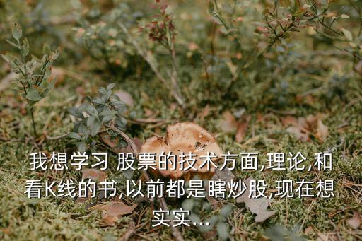 我想學習 股票的技術方面,理論,和看K線的書,以前都是瞎炒股,現在想實實...