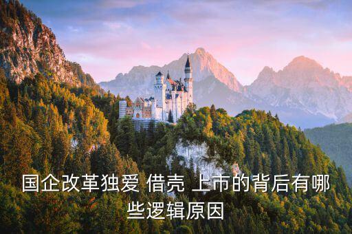 國資委公司借殼上市,深國資委還有哪些優質資產要借殼上市