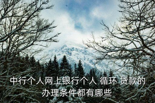 中行個人網上銀行個人 循環 貸款的辦理條件都有哪些