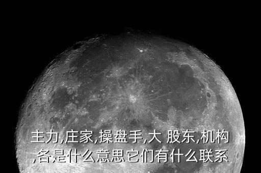 主力,莊家,操盤手,大 股東,機構,各是什么意思它們有什么聯系