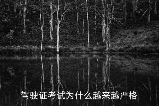 中國史上最嚴交規36