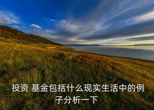  投資 基金包括什么現實生活中的例子分析一下